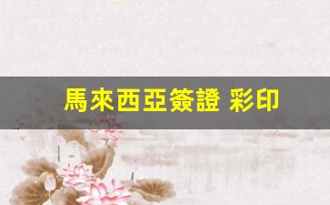 馬來西亞簽證 彩印(馬來西亞簽證蓋章圖片)